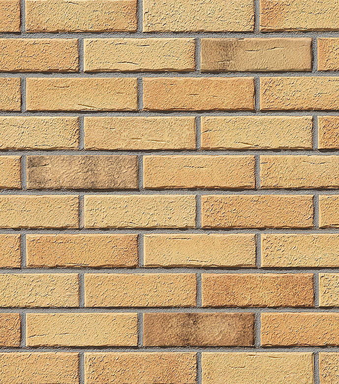 Aarhus Yellow Variegated